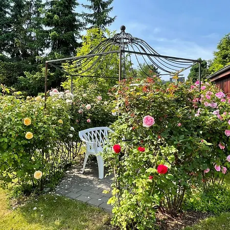 Gruene Oase Am Mausauel