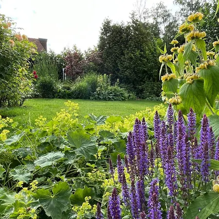 Vakantiehuis Gruene Oase Am Mausauel *