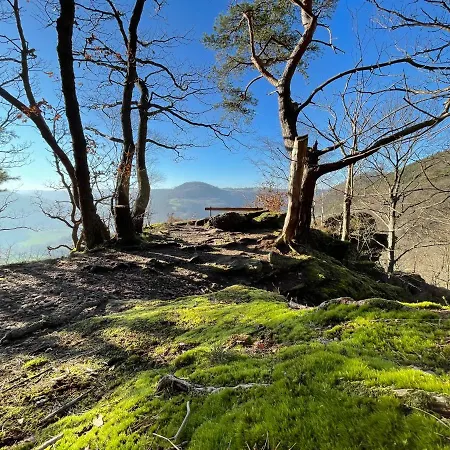Gruene Oase Am Mausauel Vakantiehuis Nideggen