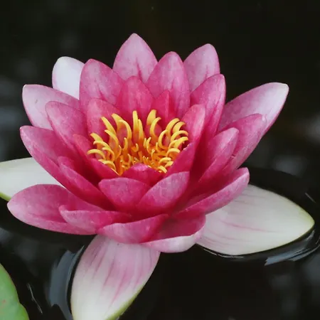 Gruene Oase Am Mausauel Дом отдыха Нидегген