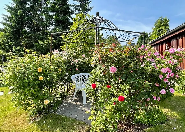 Gruene Oase Am Mausauel