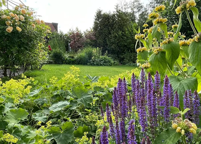 Дом отдыха Gruene Oase Am Mausauel *