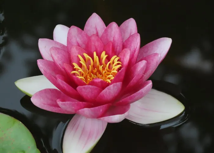 Gruene Oase Am Mausauel Prázdninový dům Nideggen