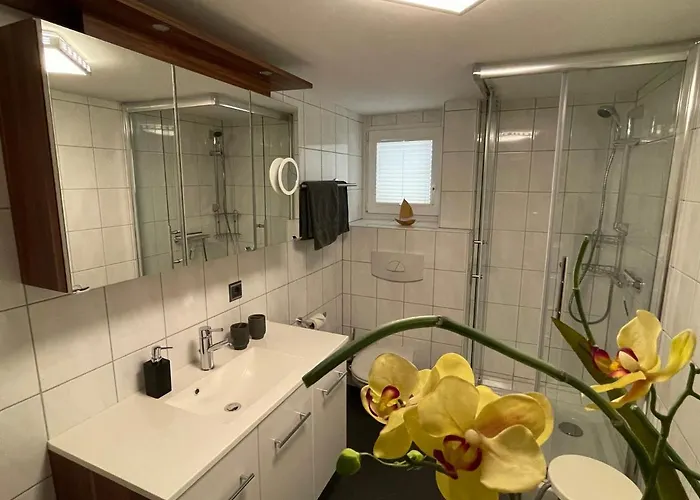 Gruene Oase Am Mausauel *