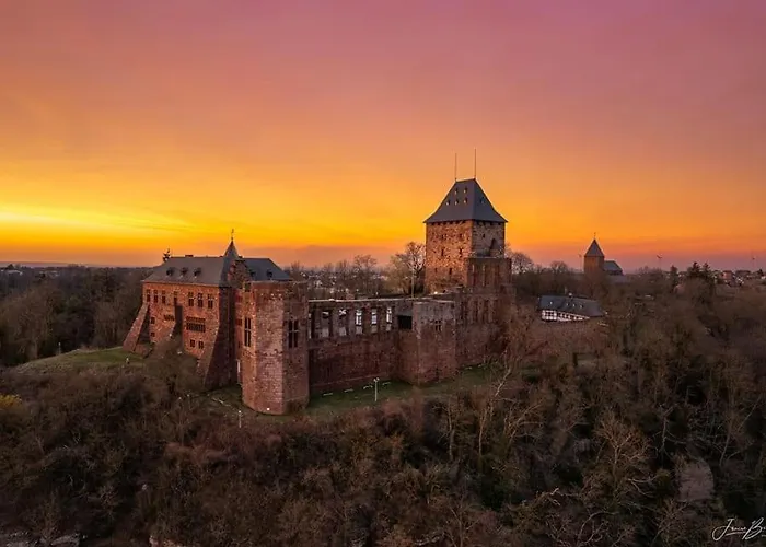 Gruene Oase Am Mausauel